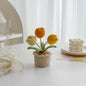 Handmade Crochet Tulip in Pot